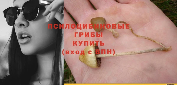 ГАЛЛЮЦИНОГЕННЫЕ ГРИБЫ Алзамай