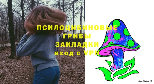 прущий лед Алексин