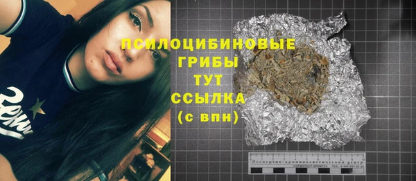 ГАЛЛЮЦИНОГЕННЫЕ ГРИБЫ Алзамай