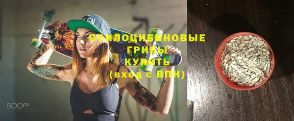 ГАЛЛЮЦИНОГЕННЫЕ ГРИБЫ Алзамай