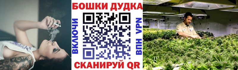 Бошки марихуана THC 21%  mega зеркало  Кингисепп 